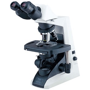 生物显微镜图片